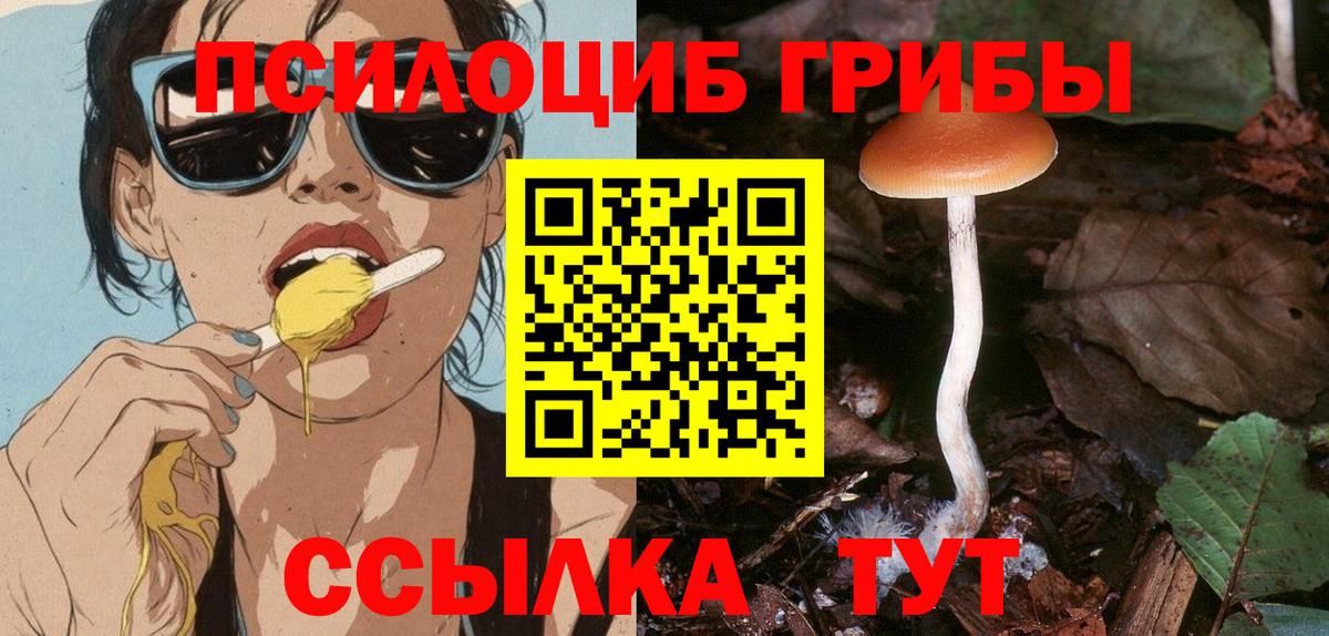 Галлюциногенные грибы мухоморы  Псилоцибиновые грибы ЛСД  Северск  Вход с VPN 